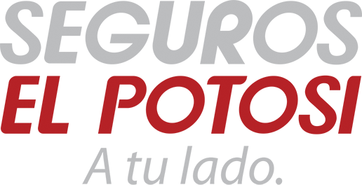 Cotiza tu seguro en EL POTOSÍ
